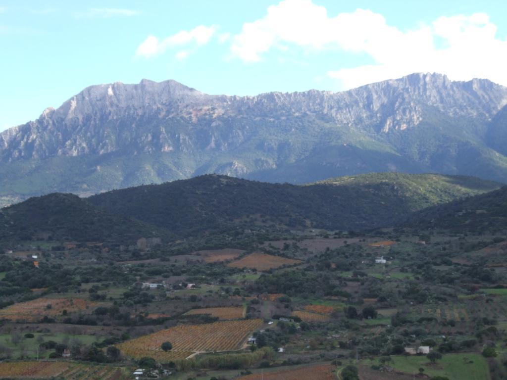Agriturismo Locoe Oliena Ngoại thất bức ảnh