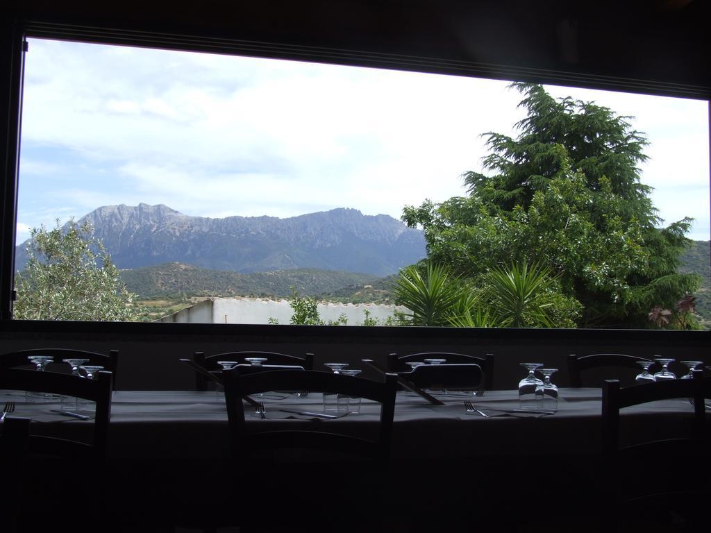 Agriturismo Locoe Oliena Ngoại thất bức ảnh